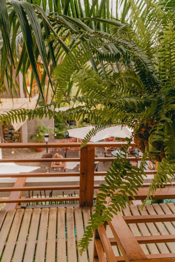 Villa Eden Palomino Kültér fotó